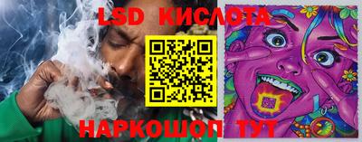 Альфа ПВП Краснодар