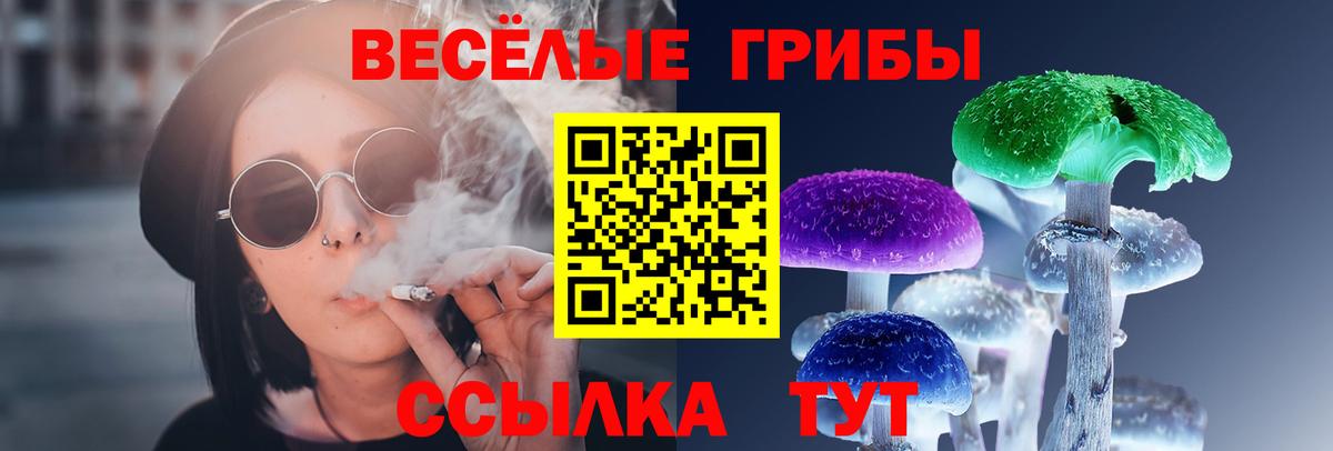 Кизляр  Псилоцибиновые грибы Magic Shrooms  Вход с VPN 
